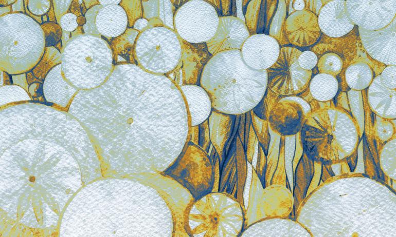 Blue-orange watercolor dandelions wall mural wallpaper | ExtraWall large fragment photo