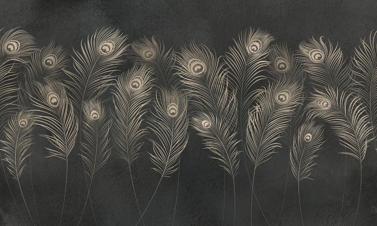 Peacock dark feathers wall mural wallpaper | ExtraWall