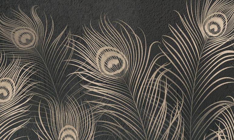 Peacock dark feathers wall mural wallpaper | ExtraWall large fragment photo