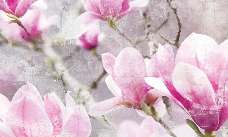 Magnolia wall mural wallpaper | ExtraWall large fragment photo