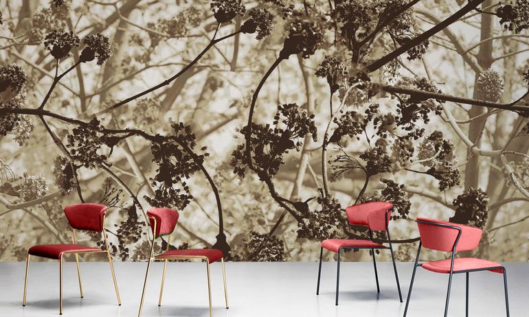 Spring tree chocolate wallmural | ExtraWall photo in smome beautiful interior