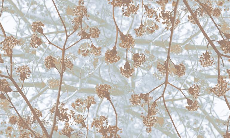 Spring tree light wallmural | ExtraWall photo