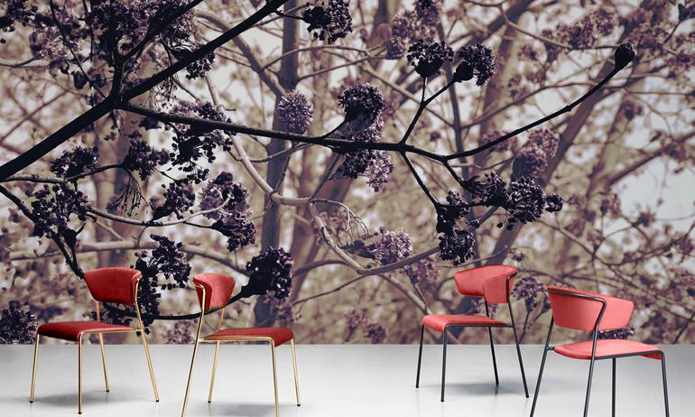 Spring tree magic wallmural | ExtraWall photo in smome beautiful interior