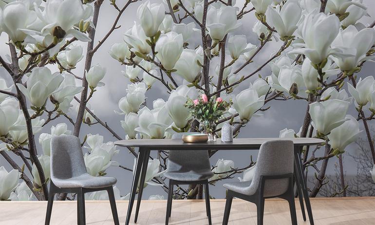 Magnolia white flowers wall mural wallpaper | ExtraWall photo in smome beautiful interior