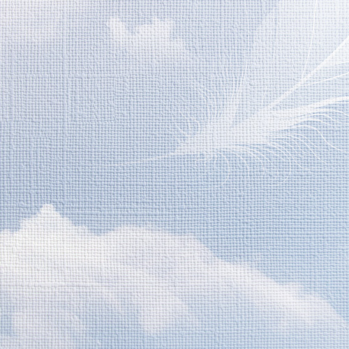 Canvas non-woven base-texture with print photo