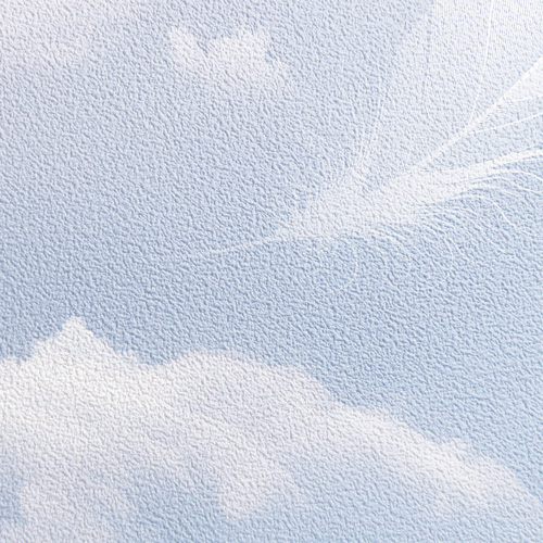 Shell non-woven base-texture with print photo