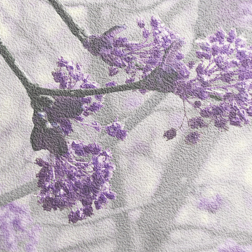 Shell non-woven base-texture with print photo