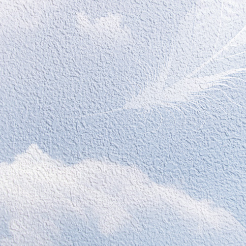 Stucco non-woven base-texture with print photo